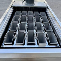 Machine à glaçons en acier inoxydable pour l'agriculture, la conservation des légumes frais, équipement de production de briques de glace industrielles