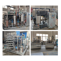 Pasteurisateur tubulaire UHT lait Pasteur yaourt faisant la pasteurisation du jus Machine balance de laboratoire