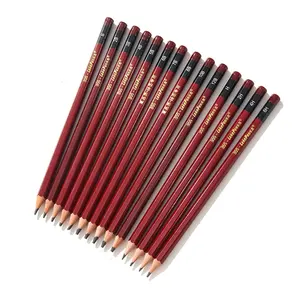 고품질 새로운 생산 14pcs 전문 흑연 드로잉 연필