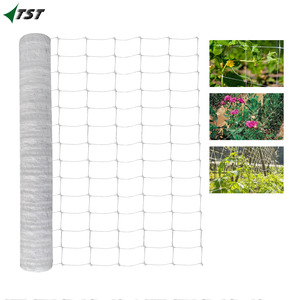 Filet de treillis 100 % PP <span class=keywords><strong>vierge</strong></span> 8 g/m² 10 g/m² pour la culture de fleurs et de végétaux grimpants - Product Image 1