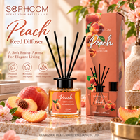 Diffuseur de parfum d'ambiance aux fruits en bouteille de verre avec bâtonnets en fibre, décor aromatique, fournisseur en gros, usine de marque privée