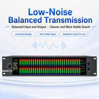 Égaliseur graphique professionnel double 31 bandes HG-888S avec processeur audio DSP à mémoire pour système audio