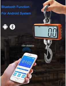 เครื่องชั่งเครนดิจิตอลราคาประหยัด พร้อมจอ LCD แสดงผลแบบ OEM ปรับแต่งได้ รองรับน้ำหนัก 1000 กก. - Product Image 6