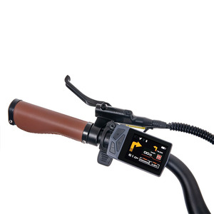 Vélo électrique de ville léger 48V 250W aux normes européennes, moyeu arrière, 7 vitesses, batterie lithium 9.6Ah, cadre carbone T800, écran numérique - Product Image 3