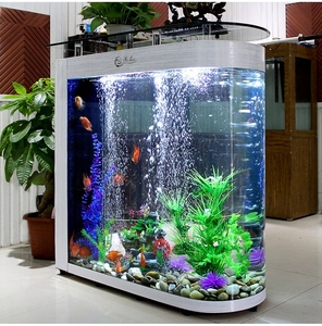 Aquarium écologique en forme de balle pour salon, grand écran, verre ultra-clair et courbé, pour poissons rouges de taille moyenne - Product Image 4