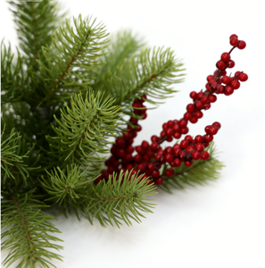 <span class=keywords><strong>Sapin</strong></span> de Noël artificiel Norfolk <span class=keywords><strong>en</strong></span> <span class=keywords><strong>pot</strong></span>, réaliste et écologique, pour extérieur, table, cheminée, entrée, décorations de fêtes - Product Image 2