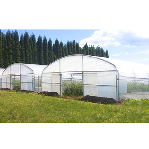 Nhà Kính Nông Nghiệp Hầm Ốc Canh Tác Màng Nhựa Nhà Kính Bộ Xương Trồng Cà Chua Nhà Kính Để Bán - Product Image 2