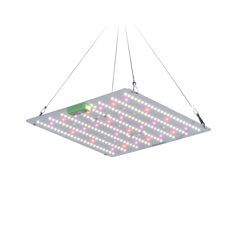 65W Full Spectrum Led Grow Light Quantum Plant Board 110V 220V Brazil ...