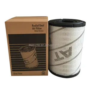 Filtro aria escavatore 6 i2503 6 i2504 P532503 P532504 per filtro aria motore Carter