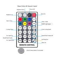 Kit de plafond étoilé 14W RGBW avec 450 fibres optiques de 0,75 mm, contrôle par application, LED à fibres optiques, effet scintillant pour plafond étoilé de 8 m²
