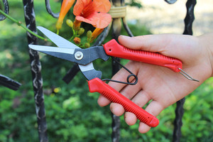 Ciseaux d'élagage pour plantes <span class=keywords><strong>de</strong></span> jardin Sécateur pour arbres à raisins Ciseaux d'élagage pour arbustes - Product Image 3