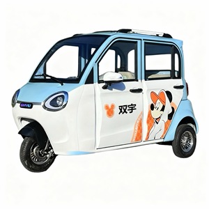 Tricycle électrique Falcon en acier allié 801-1000W 60V 70km/h 90km d'autonomie Carrosserie fermée 4 passagers Freins à disque avant/arrière EEC - Product Image 2
