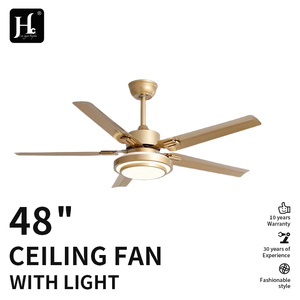 Ventilateur de plafond moderne personnalisé avec télécommande et éclairage suspendu - Product Image 2
