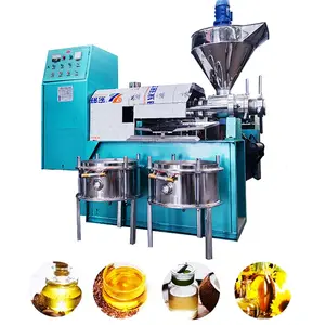 Hot Selling Mini Small Oil Machine Press for Sale/ China High Quality Low Price Oil Extractor Machine Supplier