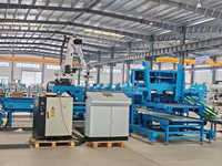 Paletizador Robótico Automático para Cajas y Cubetas de Plástico, Línea de Producción de Paletización, Brazo Robótico de Alta Eficiencia