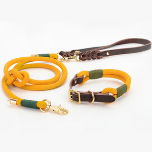 Ensemble collier en cuir et laisse en nylon tendance pour petits chiens - Product Image 4