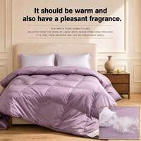 Couette en duvet de canard blanc taille Queen, 850g de garnissage, insert de couette anti-déchirure, hypoallergénique, certifiée RDS, toutes saisons, vente en gros pour hôtels