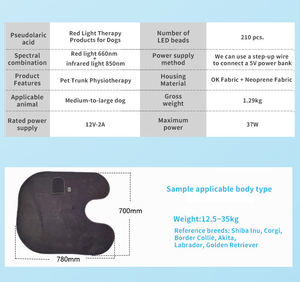 Phenitech-Ceinture de thérapie par la lumière rouge pour chiens, dispositif infrarouge portable pour les articulations raides et le confort du dos, sangles flexibles - Product Image 6