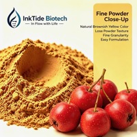 Extrait de fruit d'aubépine en poudre, ingrédient naturel de supplément alimentaire, flavonoïdes 5% 20% UV pour aliments et boissons fonctionnels, fourni par l'usine