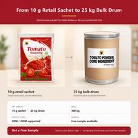 Mélange d'assaisonnement aromatique aux herbes pour tomates rouges, 10g, sachet en aluminium, poudre d'épices douce et piquante pour barbecue, viande, poulet
