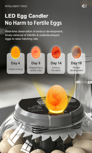 WONEGG Nueva Tendencia Incubadora de Huevos Mini con Control por Voz <span class=keywords><strong>Howard</strong></span> 12, Incubadora Automática para Pollos - Product Image 3