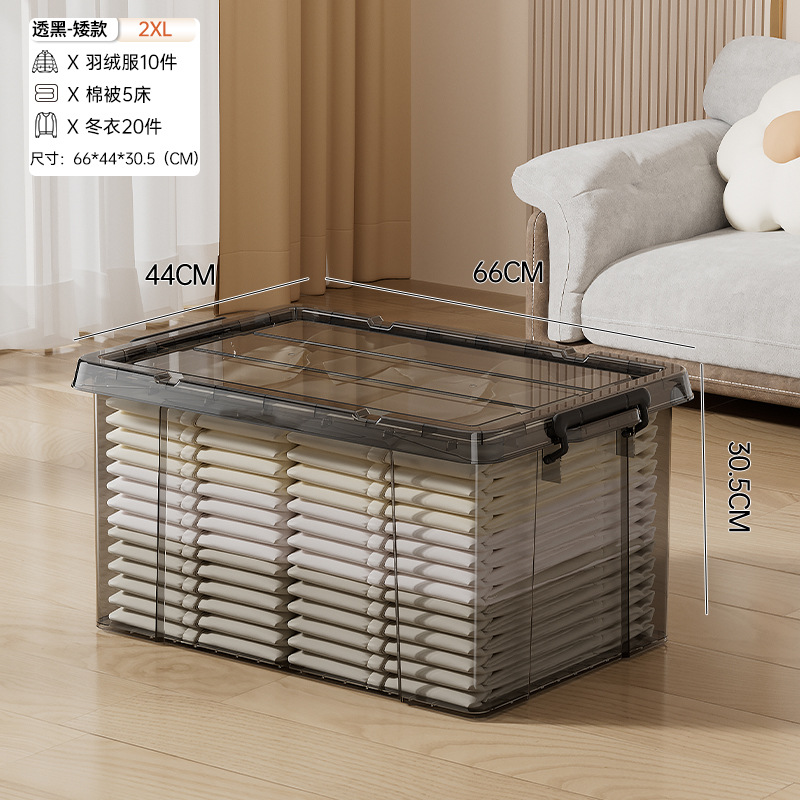 2XL Short - Gray Transparent