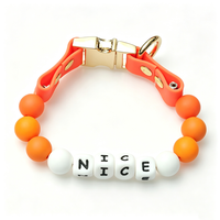 Collier pour chien en silicone avec lettres, étanche, perles DIY, style décontracté, couleur macaron, boîte, prend en charge les noms personnalisés, livraison directe, boucle universelle