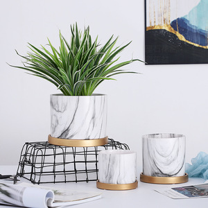 <span class=keywords><strong>Pot</strong></span> de fleur marbré plante verte peau de tigre <span class=keywords><strong>orchid</strong></span>ée <span class=keywords><strong>pot</strong></span> en céramique respirant avec plateau - Product Image 5