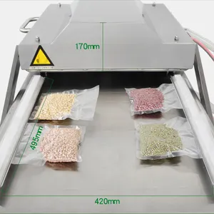 물고기 스테이크 진공 씰링 기계 전기 DZ-500 이중 챔버 진공 실러 포장