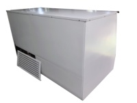 Congélateur à glace sous-monté 400 litres Équipement de restaurant Marchandiseur de glace extérieur Bac à glace mobile