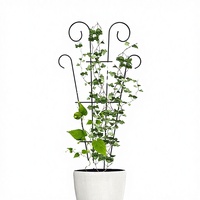 Treillis métallique pour plantes en pot, treillis de support pour plantes grimpantes à bord festonné, treillis de jardin pour la lierre, le clématite et les plantes en pot