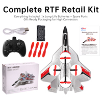 Avion RC ZY-905, avion RC acrobatique 3D avec 1 batterie, mousse EPP, prêt à voler, CE/FCC, vente en gros