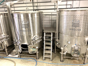 Attrezzatura per la fermentazione del serbatoio di fermentazione del vino in acciaio inossidabile 500L-2000L capacità essenziale - Product Image 6