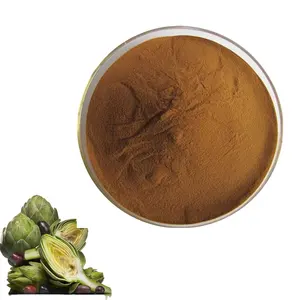 Bubuk ekstrak daun Artichoke alami 5% Cynarin, ekstrak Artichoke, Artichoke, Outlet pabrik