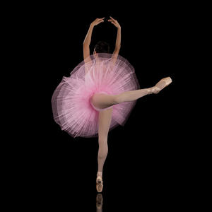 Vente chaude d'usine Costumes de danse <span class=keywords><strong>tutu</strong></span> de ballet pour filles et femmes <span class=keywords><strong>Tutu</strong></span> de ballet professionnel Classique Jupes demi-<span class=keywords><strong>tutu</strong></span> - Product Image 4