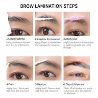 Kit de Laminación de Pestañas y Cejas de Marca Privada con Varillas de Permanente, Proveedor de Productos, Kit de Permanente de Cejas, Kit de Lifting y Tinte de Pestañas y Cejas
