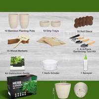 Vente chaude Personnalisé Usda Certifié Biologique Fleur De Lotus Bleu Bonsaï Arbre Kit Naturel Avec Boîte De Plantes Jardin Extérieur