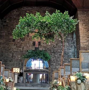 Tronco de Madera, Árbol Decorativo Verde, Árbol Artificial de Cinnamomum Camphora Officinarum, Árbol de <span class=keywords><strong>Eucalipto</strong></span> - Product Image 5