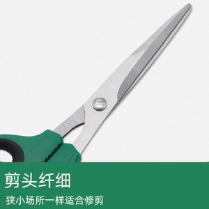 Stainless Steel Pruning Shears Green Straight Head 4065mm Blade For Gardening Fruit Tree Flower Grafting - Product Image 3