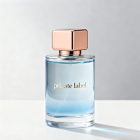 Parfum corporel personnalisé pour femme, senteur arabe, 100 ml, longue tenue, parfum floral, moderne, luxueux, couleur et emballage personnalisés