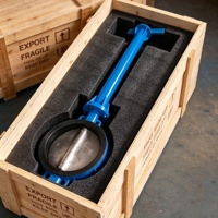 Vanne papillon à tige longue D71X-16 PN16 avec joint EPDM et disque en acier inoxydable, pour le contrôle de l'eau souterraine, commande manuelle, traitement de l'eau