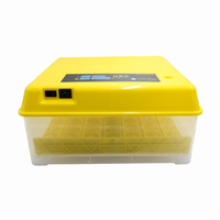Grande Promotion Livraison Gratuite Double Alimentation DC AC Couveuse Entièrement Automatique 48 Œufs de Poule 132 Œufs d'Oiseaux à Vendre