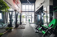 Máquina de remo y esquí comercial para fitness, remo de aire para interiores, máquina de esquí para ejercicio en gimnasio