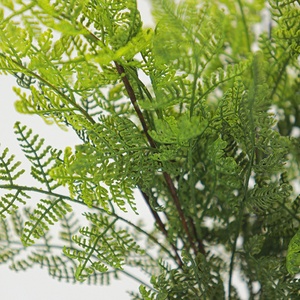 Vente en gros de feuilles de fougère artificielles de haute qualité, <span class=keywords><strong>neuf</strong></span> tiges, pour arrangements floraux de mariage, décoration de la maison, de l'hôtel et du jardin - Product Image 3