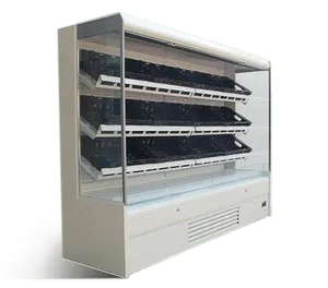 & Nbsp; sapateira refrigerada industrial usado como refrigerador de exibição para legumes e frutas