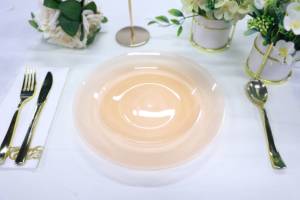 Assiettes rondes en plastique jetables <span class=keywords><strong>de</strong></span> 7 pouces, parfaites pour les fêtes d'<span class=keywords><strong>anniversaire</strong></span>, les mariages, les banquets, les pique-niques et l'usage quotidien - Product Image 4