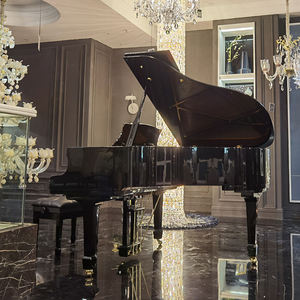 <span class=keywords><strong>Piano</strong></span> de cola acústico negro de 88 teclas, ébano pulido, colores personalizados para el hogar, hoteles, mobiliario profesional y salas de conciertos - Product Image 5