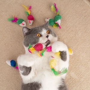 Ratón de peluche colorido con adorno de plumas-Accesorio para masticar gatitos con hierba gatera - Product Image 4