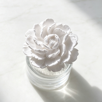 Diffuseur d'huiles essentielles en pierre parfumée, en plâtre, en céramique de porcelaine faite à la main, en forme de fleur, pour la maison, en bouteille de verre de 100 ml, en stock