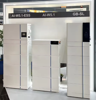 Baterai Penyimpanan Energi Deye ESS AI-W5.1-B 51.2V 100ah LiFePO4 Baterai Surya 10kwh 20kwh 30kwh untuk Penggunaan Rumah Tangga